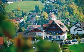 Wein- und Klimahotel Bergfriedel
